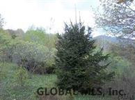 0 Brand Road Gilboa, NY 12076 - Photo 5 of 6 Photo 5