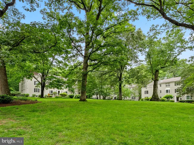 a huge green field with lots of trees