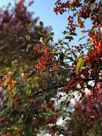 $630,000 | 43W701 Willow Creek Drive, Elburn, IL 60119