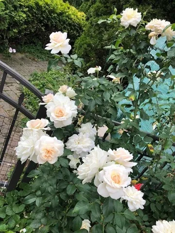 $630,000 | 43W701 Willow Creek Drive, Elburn, IL 60119