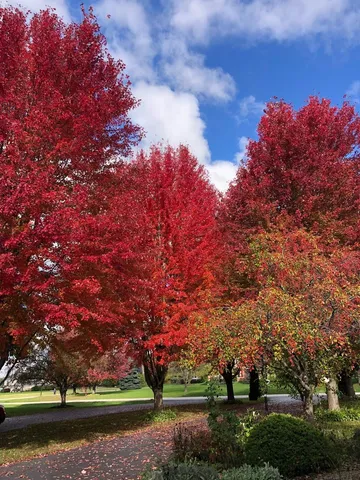 $630,000 | 43W701 Willow Creek Drive, Elburn, IL 60119