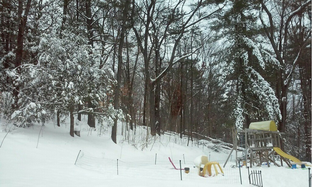 19 Stage Road Deerfield, MA 01373 - Photo 28 of 29 Gallery Image 28