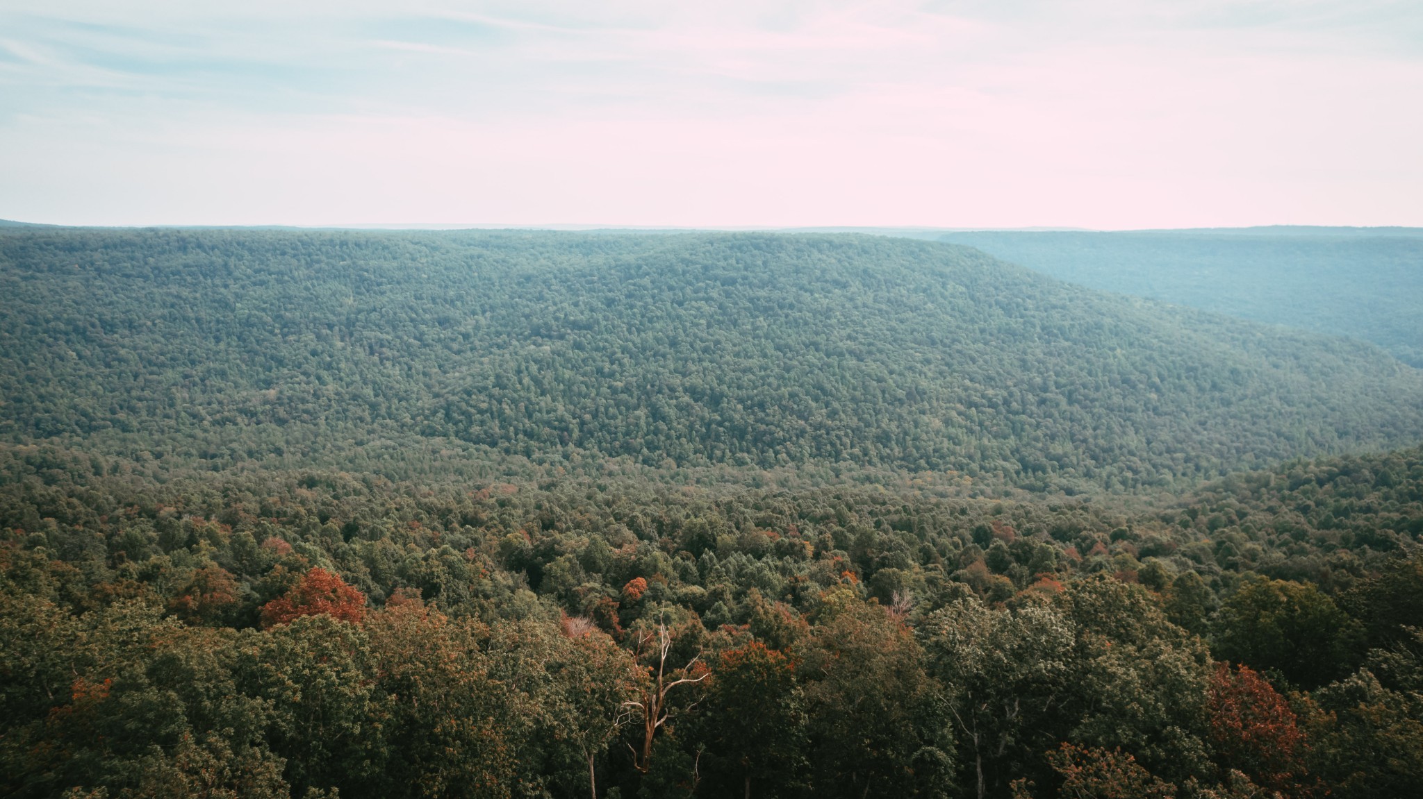 3155 Pigeon Spur Road South Pittsburg, TN 37380 - Photo 12 of 78