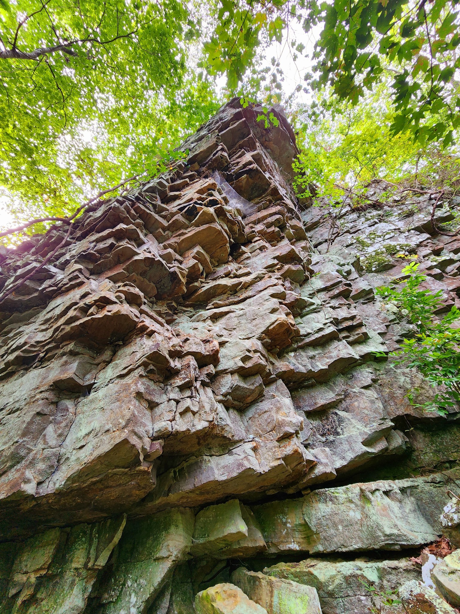 3155 Pigeon Spur Road South Pittsburg, TN 37380 - Photo 15 of 78