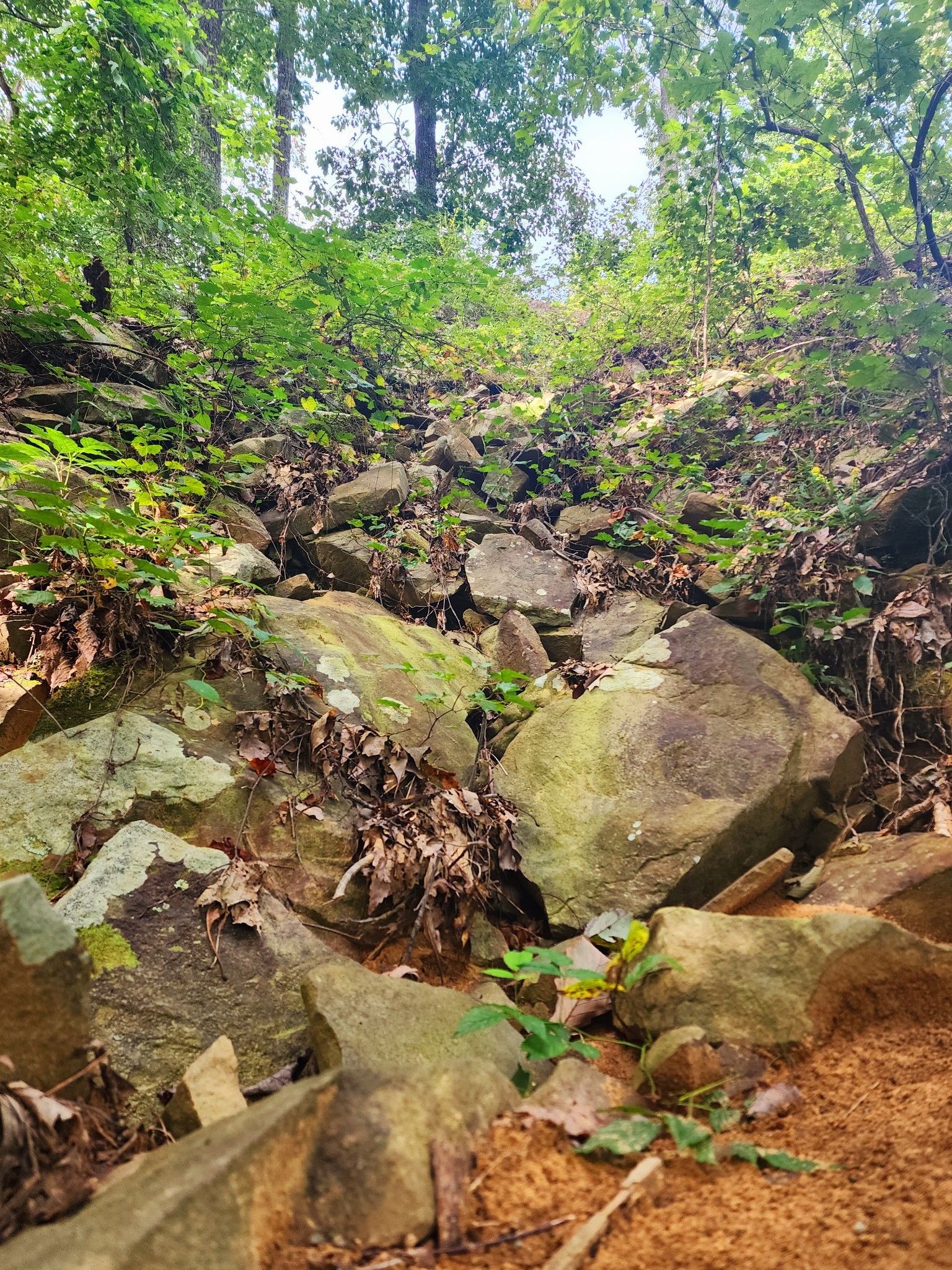3155 Pigeon Spur Road South Pittsburg, TN 37380 - Photo 17 of 78 a view of outdoor space and covered with green space