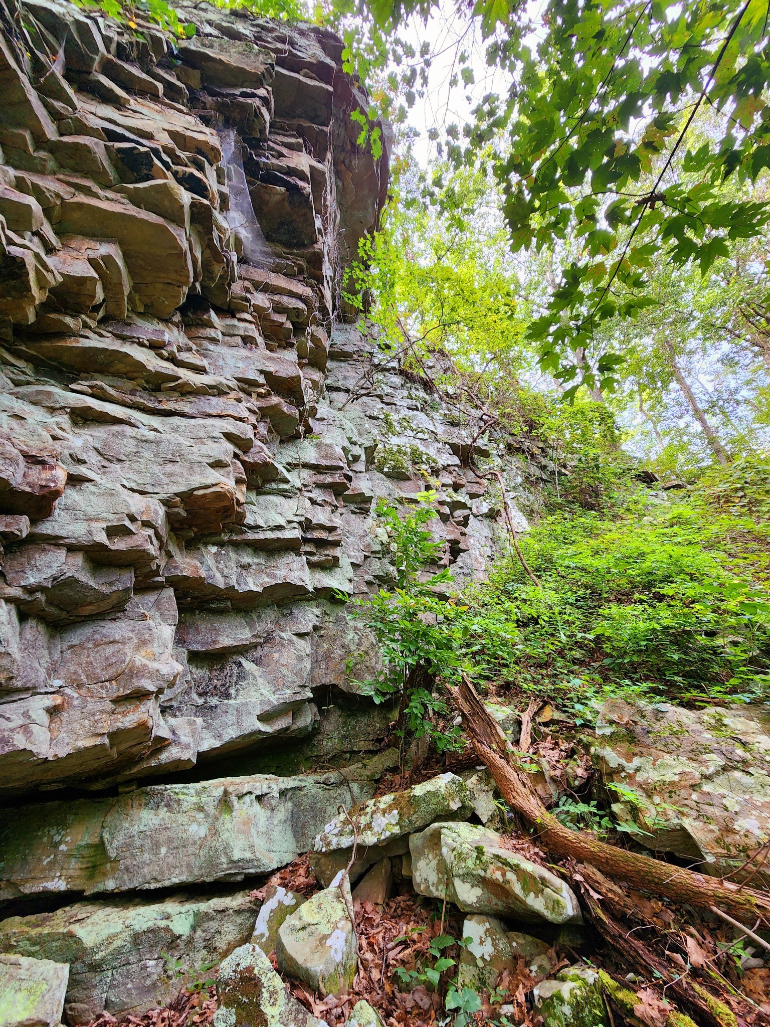 3155 Pigeon Spur Road South Pittsburg, TN 37380 - Photo 18 of 78