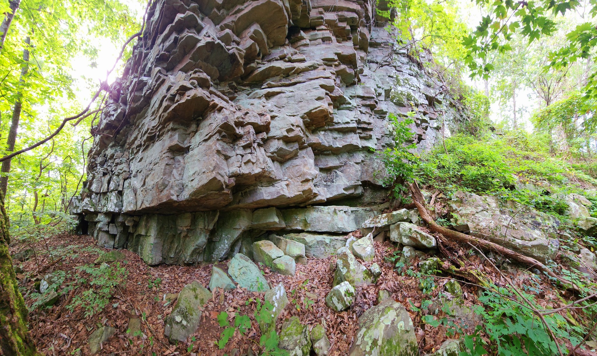 3155 Pigeon Spur Road South Pittsburg, TN 37380 - Photo 19 of 78