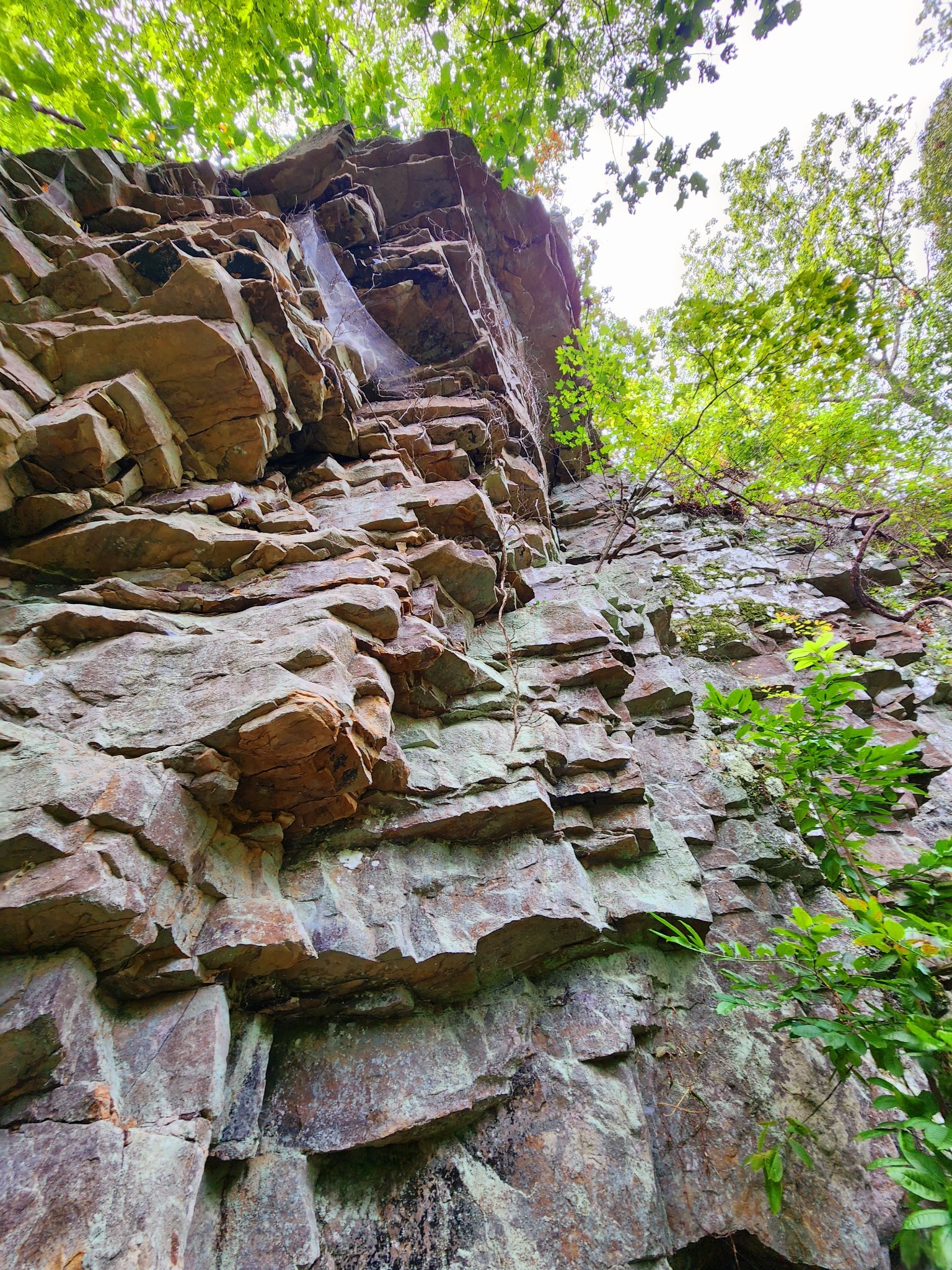 3155 Pigeon Spur Road South Pittsburg, TN 37380 - Photo 20 of 78 a view of swimming pool with a yard