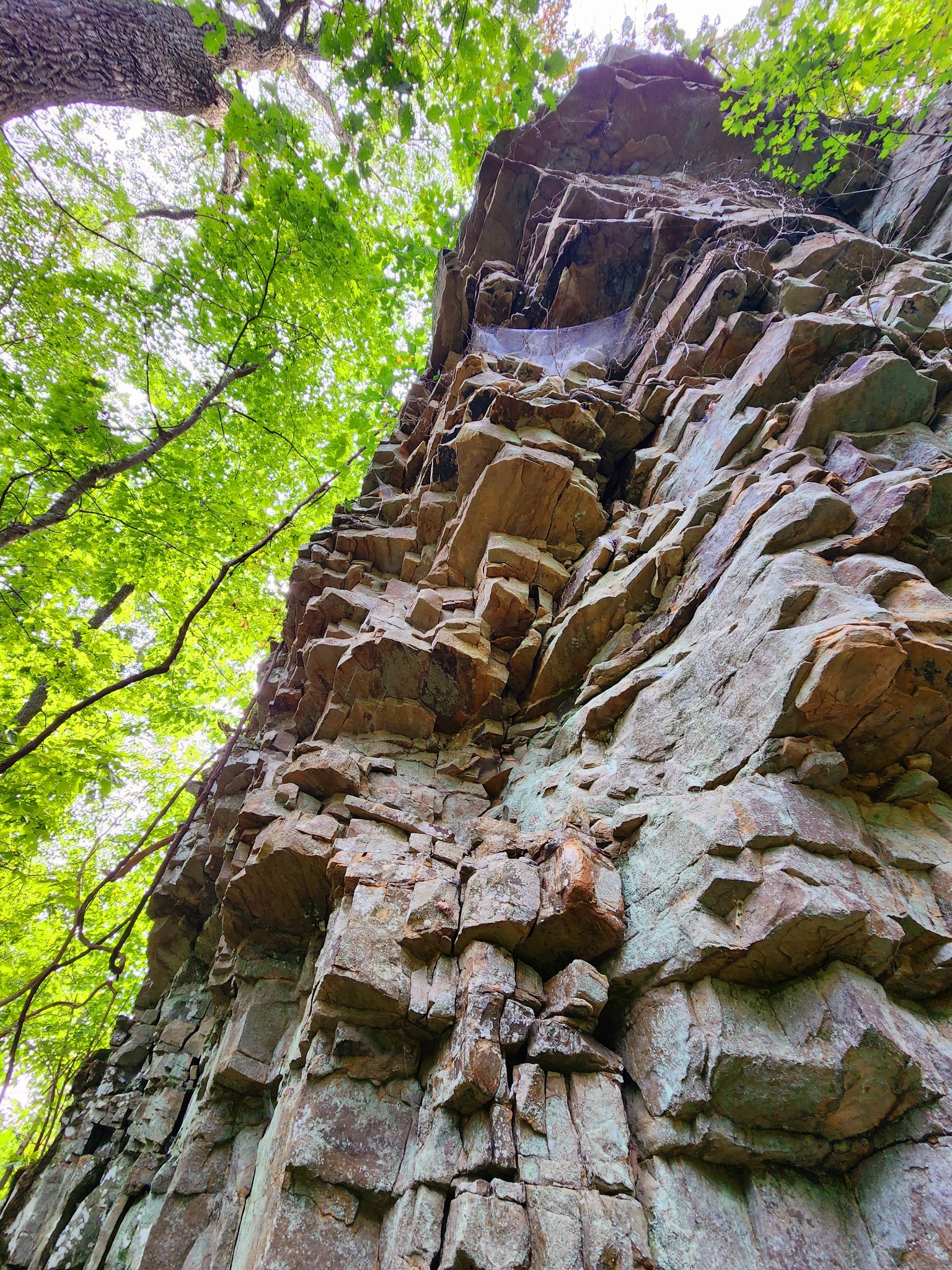 3155 Pigeon Spur Road South Pittsburg, TN 37380 - Photo 21 of 78