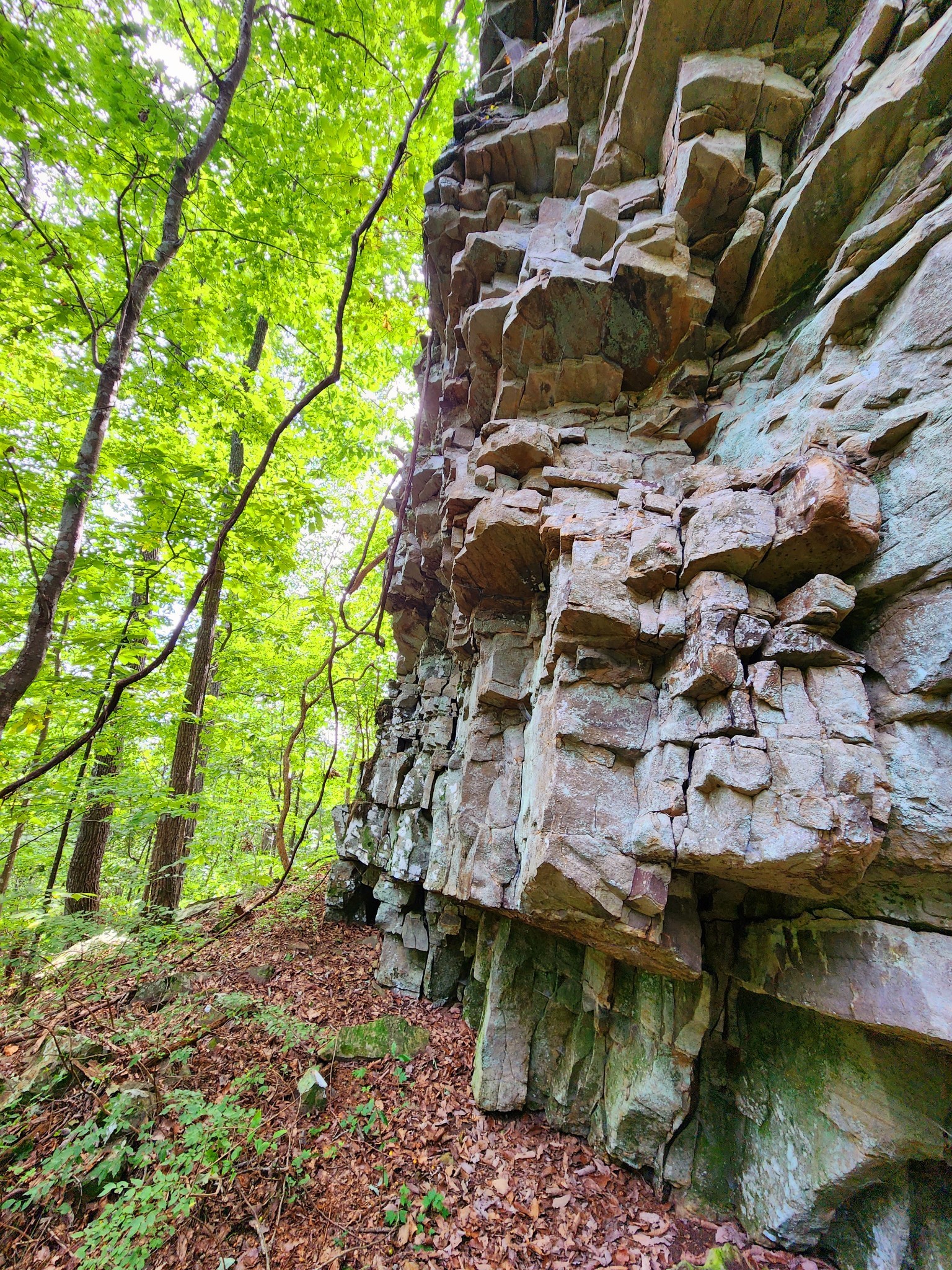 3155 Pigeon Spur Road South Pittsburg, TN 37380 - Photo 22 of 78