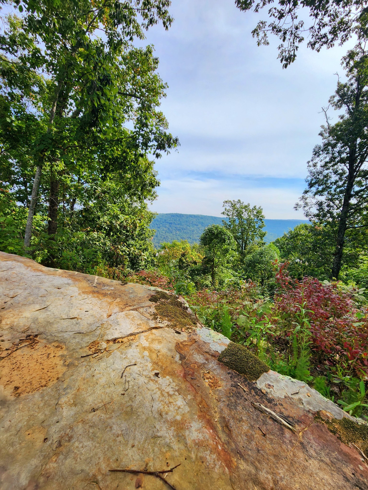 3155 Pigeon Spur Road South Pittsburg, TN 37380 - Photo 25 of 78