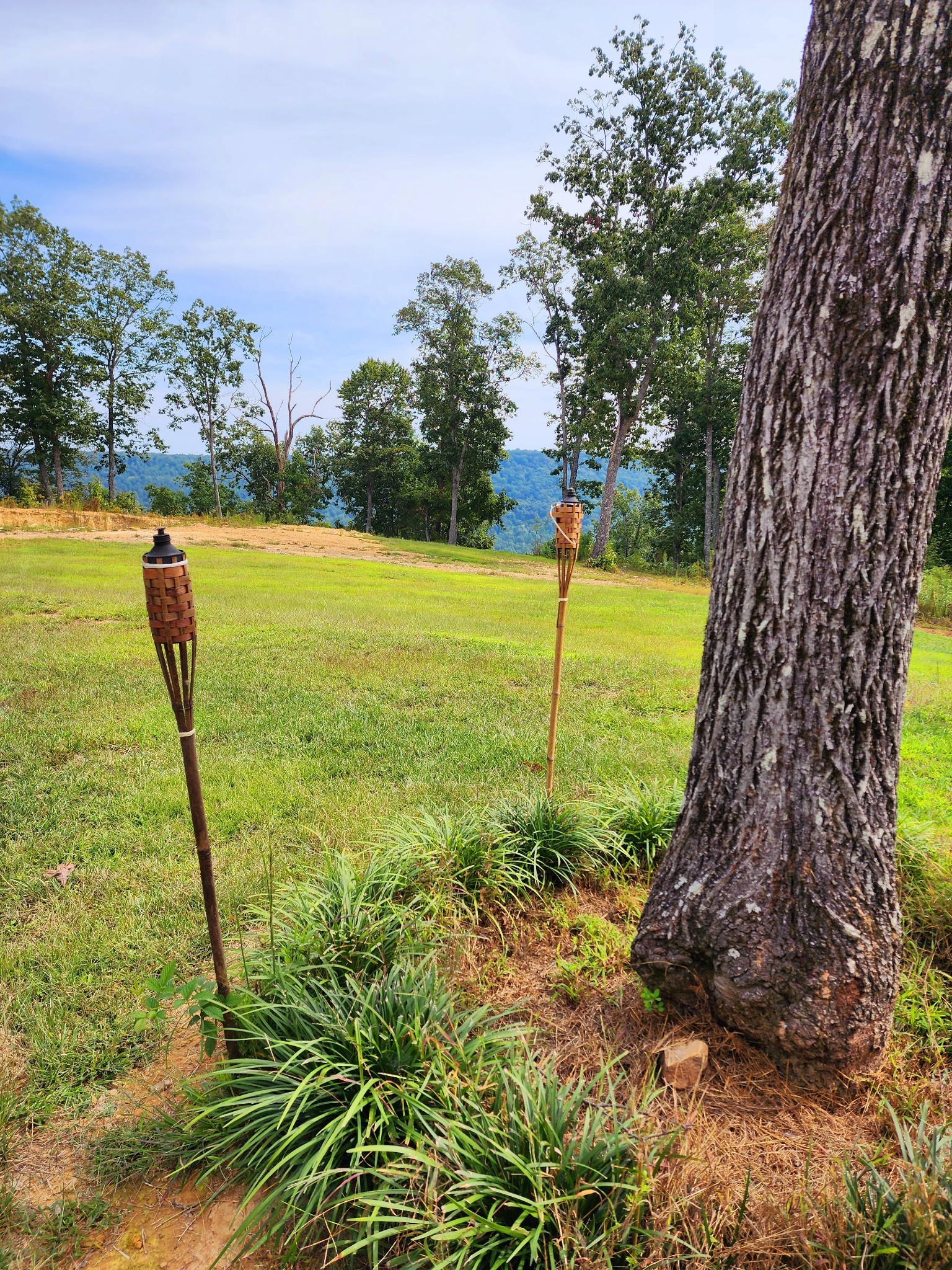 3155 Pigeon Spur Road South Pittsburg, TN 37380 - Photo 40 of 78