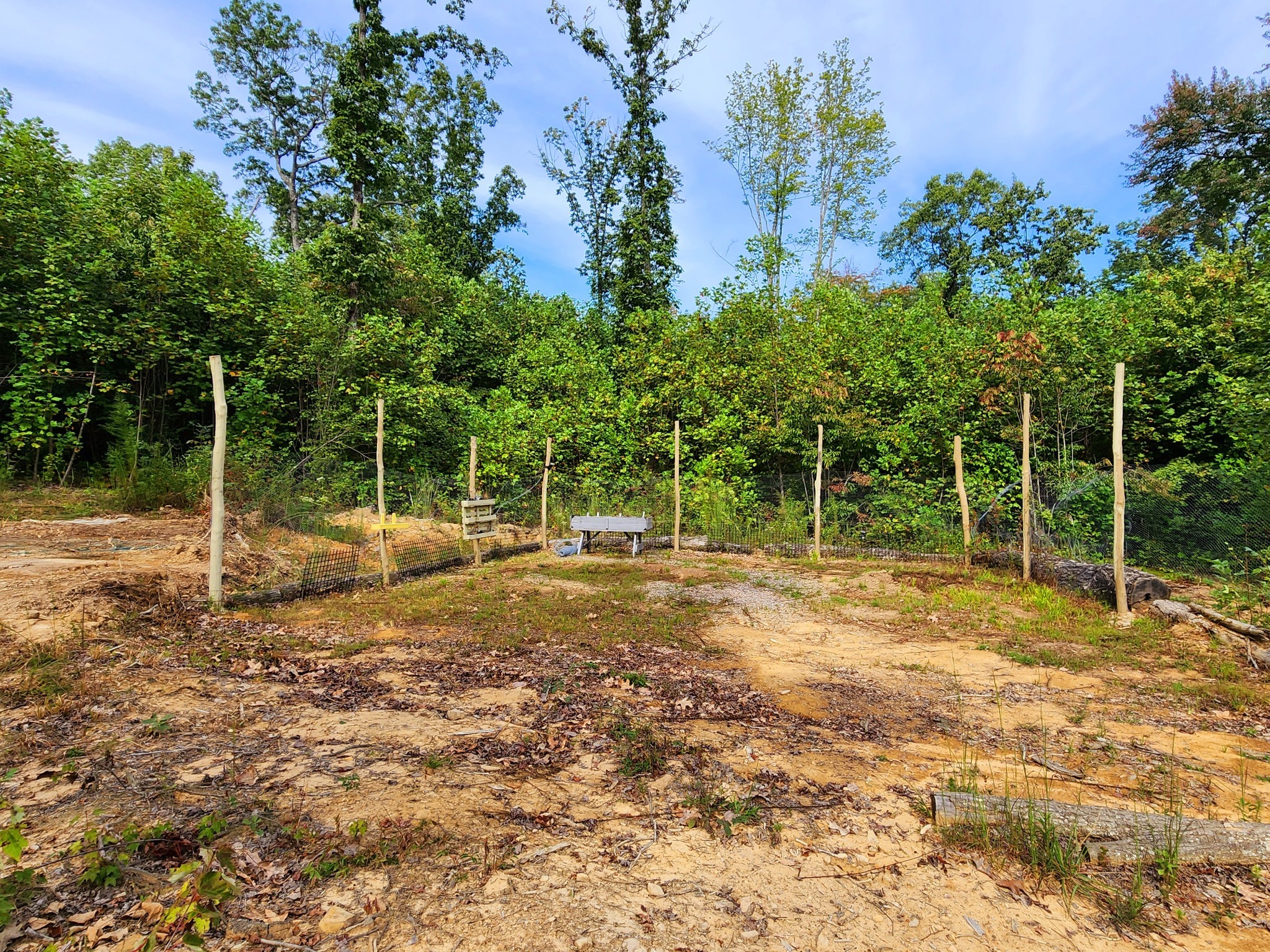 3155 Pigeon Spur Road South Pittsburg, TN 37380 - Photo 41 of 78 a view of a yard with a tree
