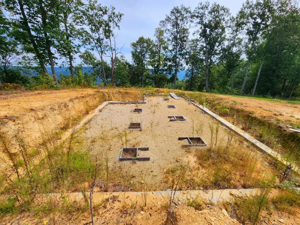 an aerial view of a house with a yard and large trees