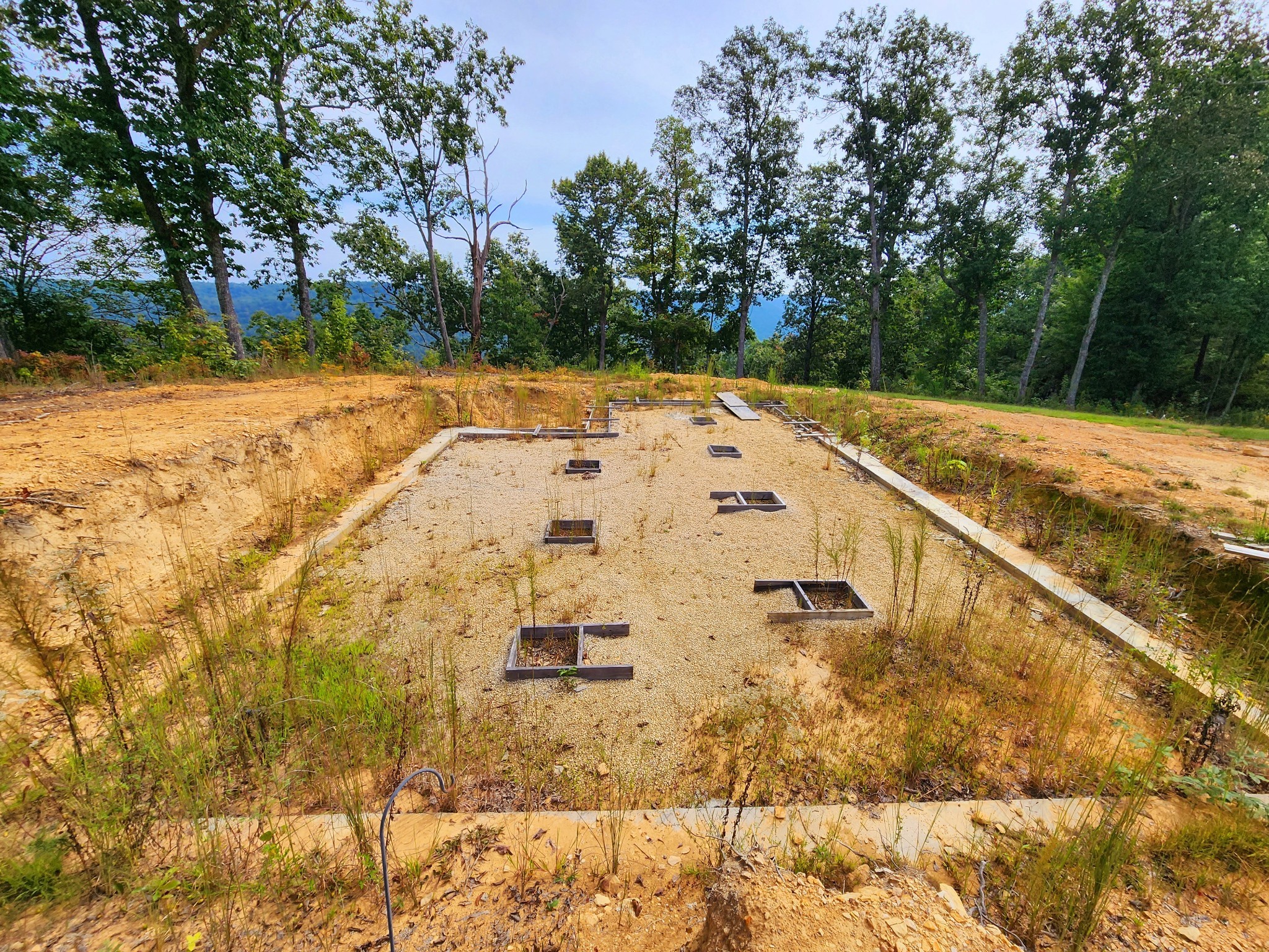 3155 Pigeon Spur Road South Pittsburg, TN 37380 - Photo 44 of 78 a view of a yard with trees