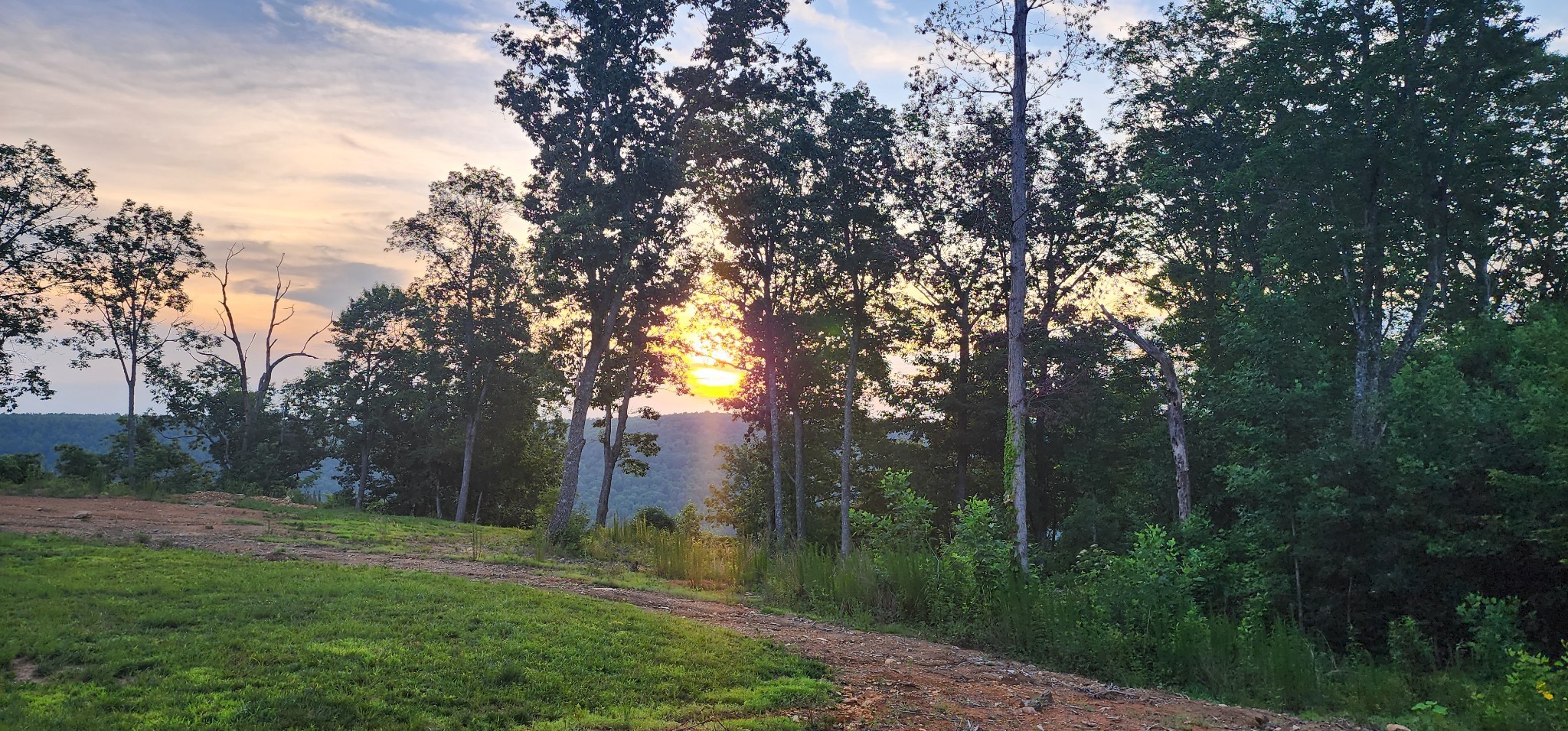 3155 Pigeon Spur Road South Pittsburg, TN 37380 - Photo 50 of 78 a view of a backyard with large trees