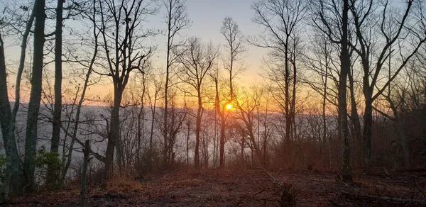 $575,000 | 3155 Pigeon Spur Road, South Pittsburg, TN 37380