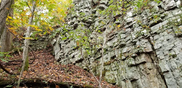 $575,000 | 3155 Pigeon Spur Road, South Pittsburg, TN 37380