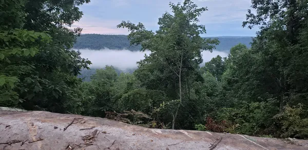 $575,000 | 3155 Pigeon Spur Road, South Pittsburg, TN 37380