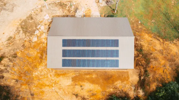 a view of a forest with a mountain