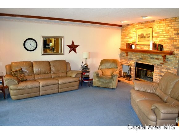 218 Sebring Road Springfield, IL 62707 - Photo 13 of 20 Gallery Image 13