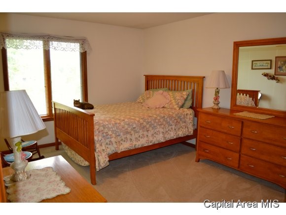 218 Sebring Road Springfield, IL 62707 - Photo 17 of 20 Gallery Image 17