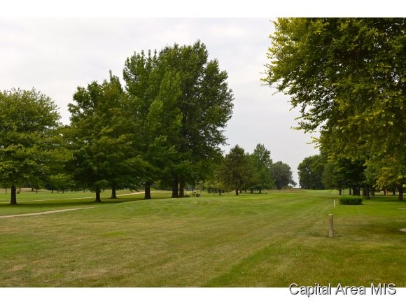 218 Sebring Road Springfield, IL 62707 - Photo 19 of 20 Gallery Image 19