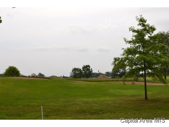 218 Sebring Road Springfield, IL 62707 - Photo 4 of 20 Gallery Image 4