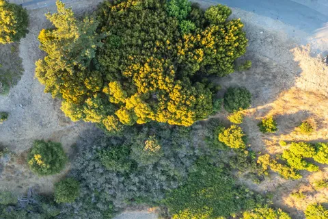 $450,000 | 0 Pacific Avenue, Richmond, CA 94801