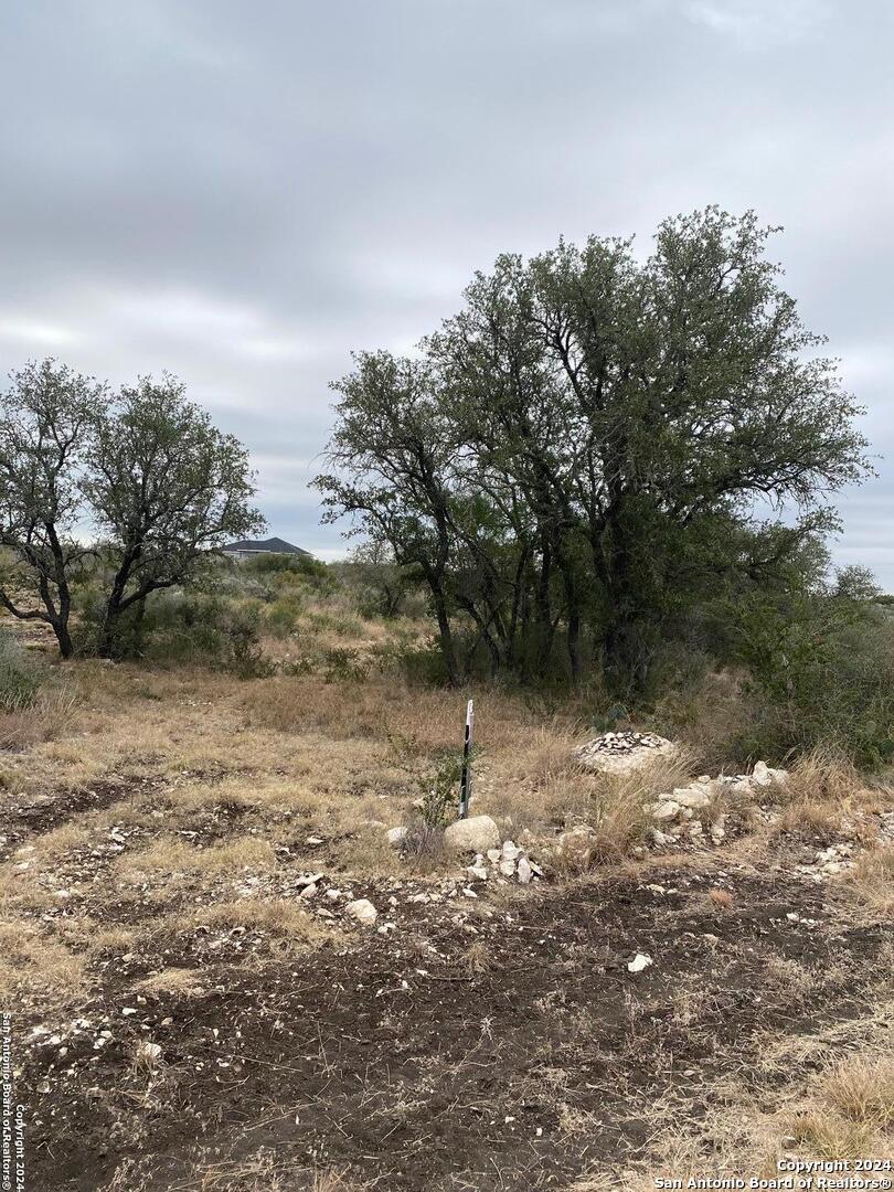 264 Legend Hills Uvalde, TX 78801 - Photo 5 of 6 a view of a yard with a tree