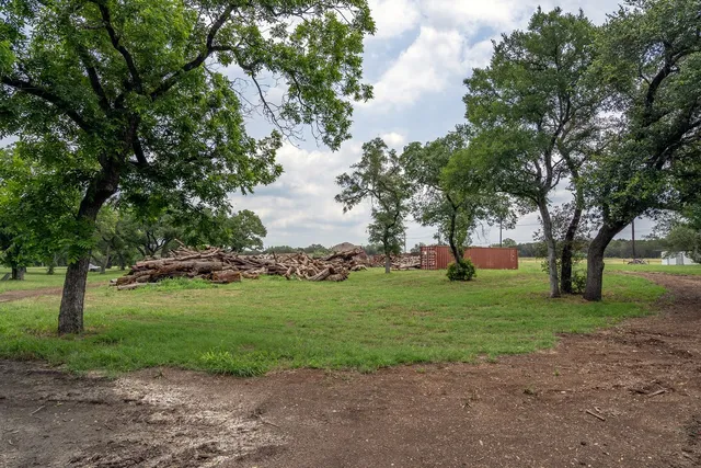 a view of a garden with trees
