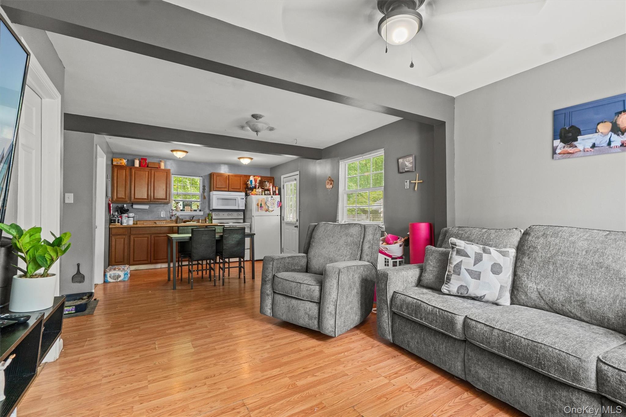 359 Lake Shore Drive Pine Bush, NY 12566 - Photo 6 of 25 Living room with light wood finished floors, ceiling fan, and plenty of natural light