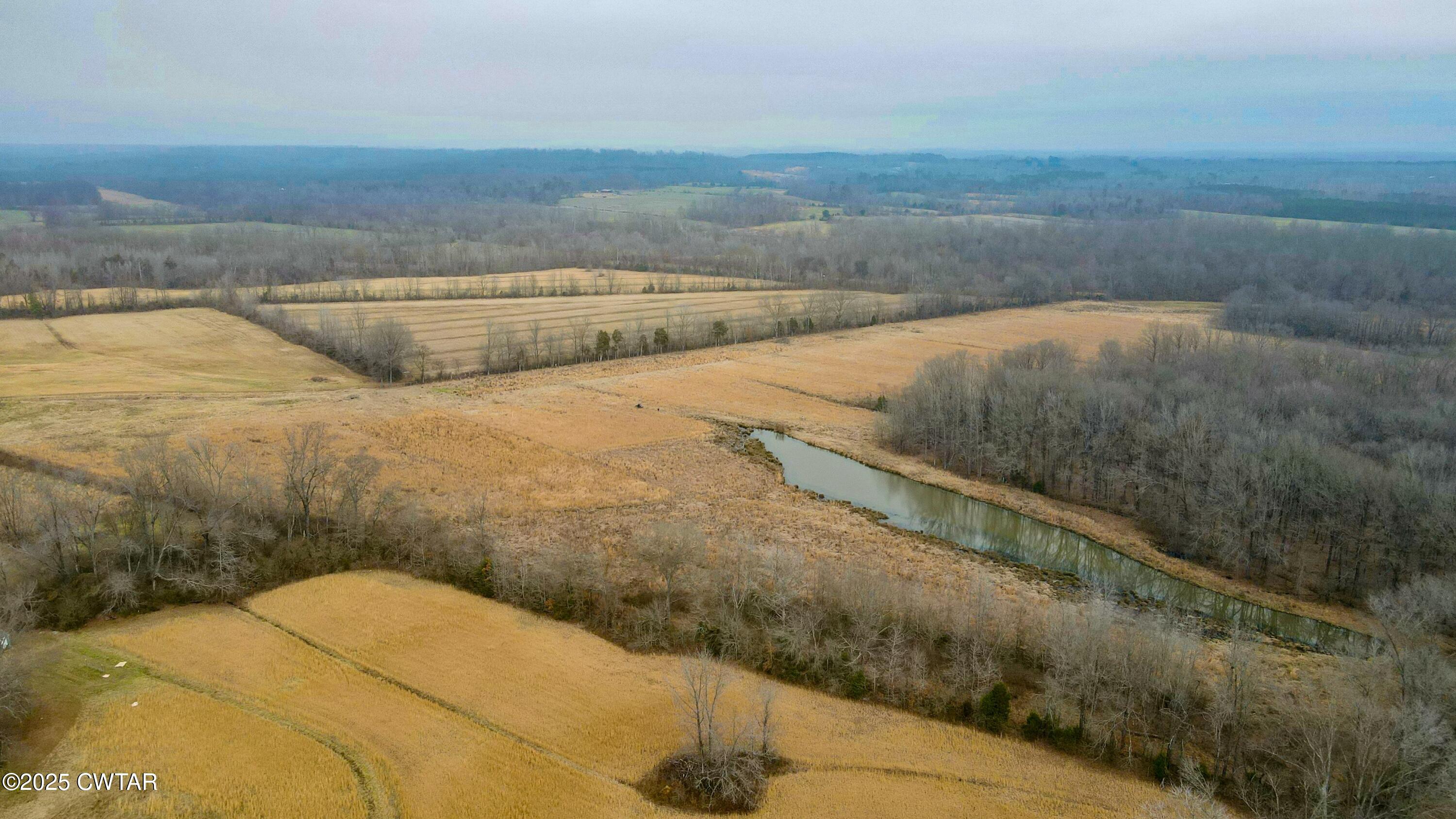2940 Presley Ridge Road Sardis, TN 38371 - Photo 8 of 34 tempImageYB5wvZ
