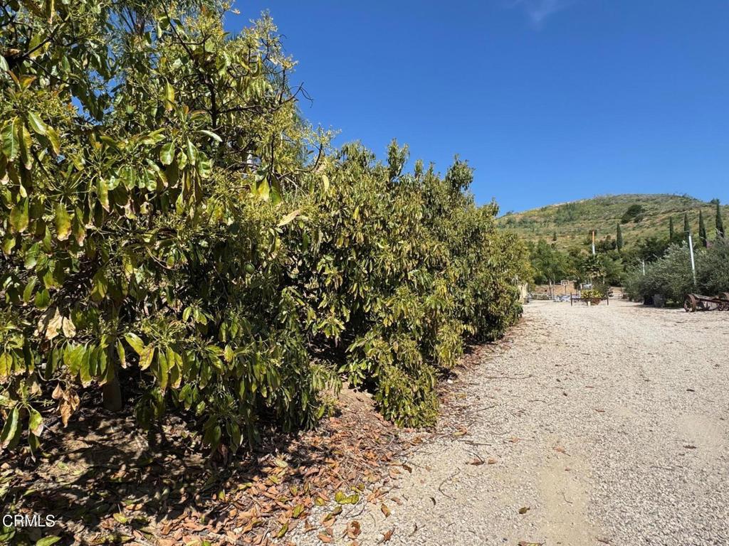 7907 Balcom Canyon Road Somis, CA 93066 - Photo 15 of 41 IMG_9584