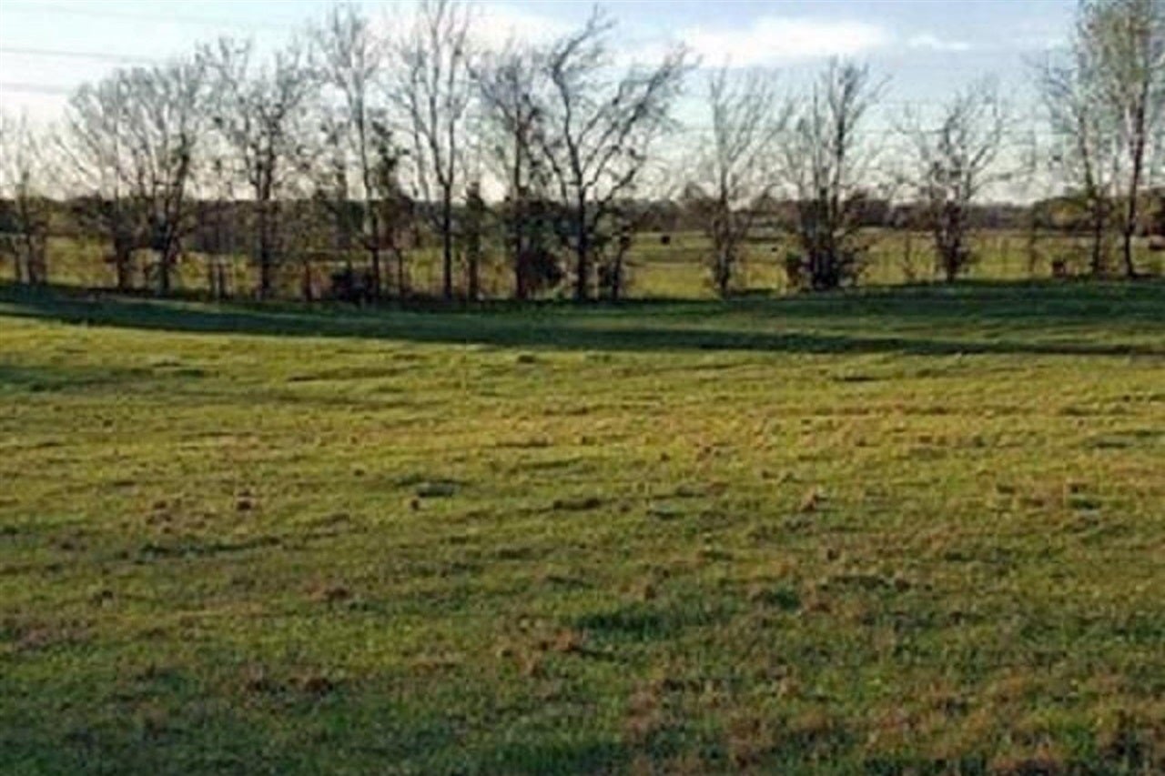 0 Will Payne Road Franklin, KY 42134 - Photo 1 of 1 Gallery Image 1