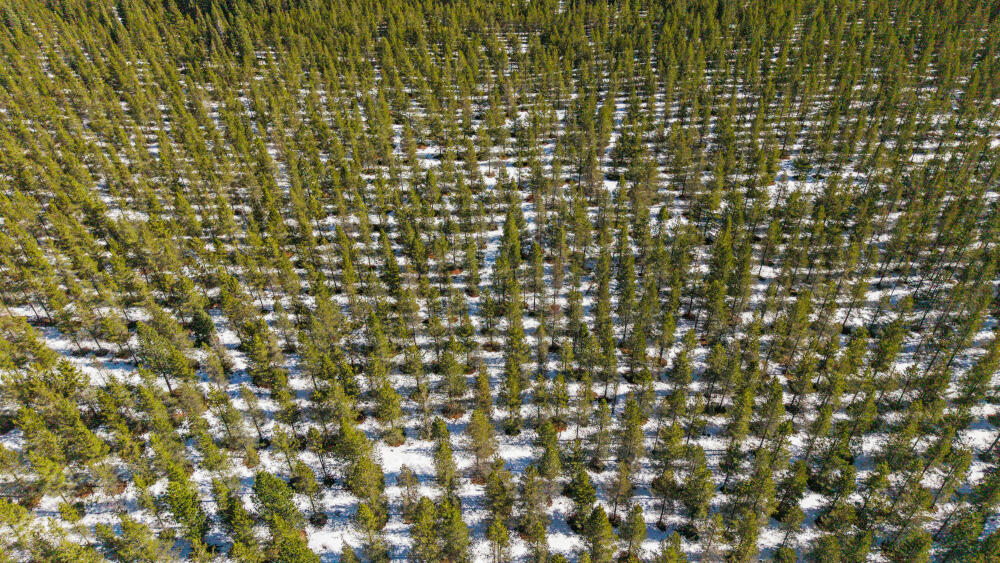 0 Clover Creek Road, Unit 71022 Klamath Falls, OR 97601 - Photo 11 of 15 11 CloverCreekRd600Acres-30