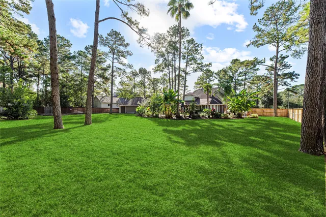 a view of a park with tree s