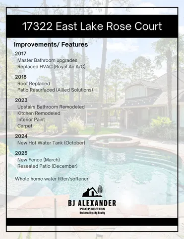 a view of a plant in a garden