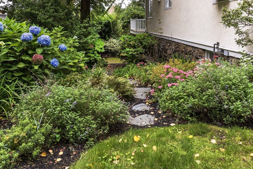 289 Clinton Road Brookline, MA 02445 - Photo 21 of 24 a picture of flowers