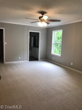 8686 Perry Road Graham, NC 27253 - Photo 10 of 11 Gallery Image 10