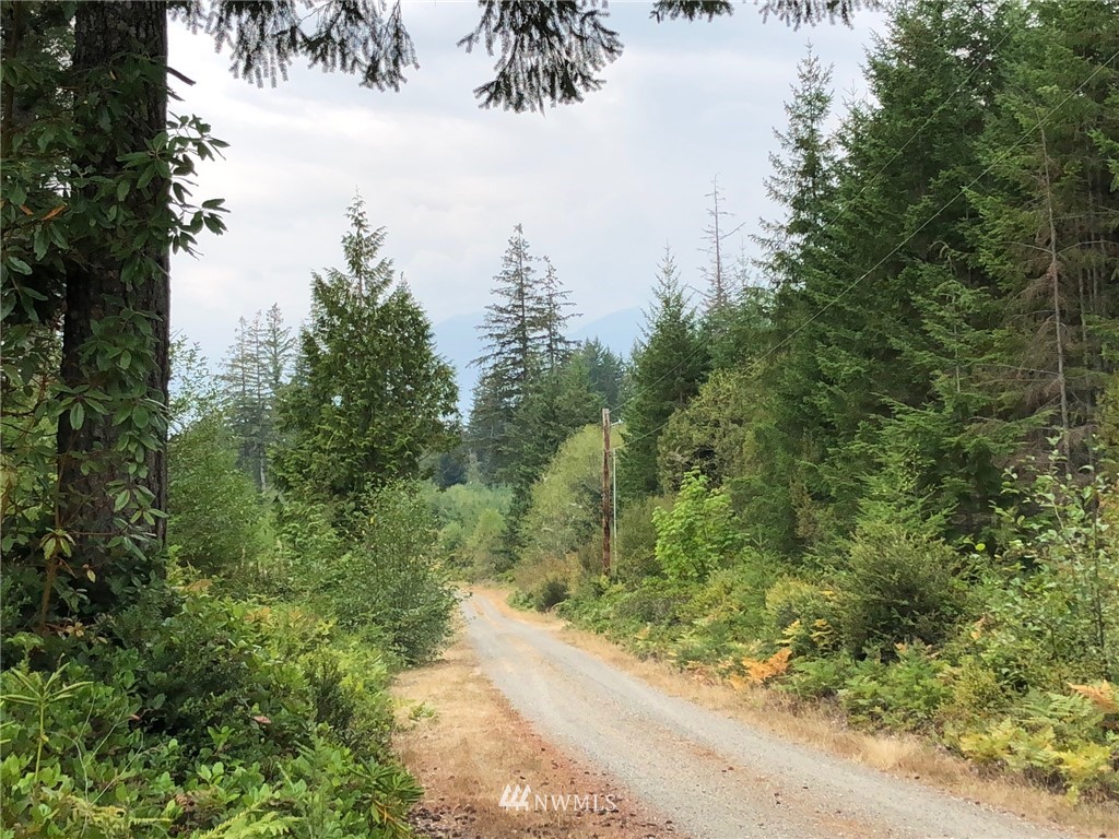 9-xxx Coyle Road Quilcene, WA 98376 - Photo 1 of 10