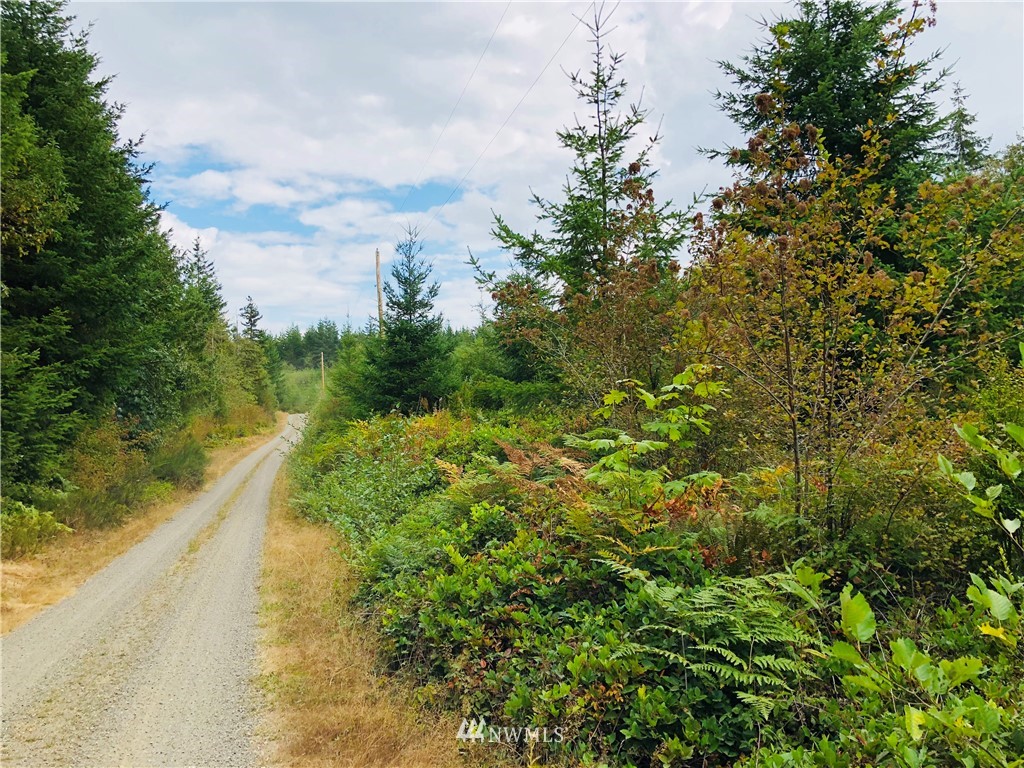 9-xxx Coyle Road Quilcene, WA 98376 - Photo 4 of 10