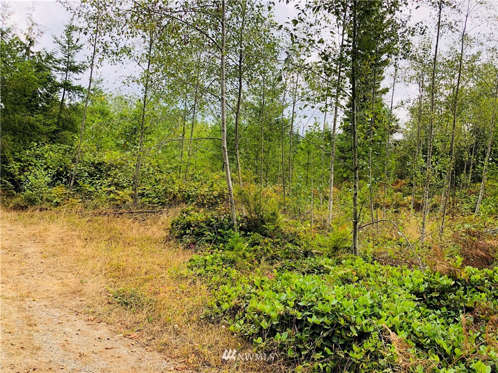 9-xxx Coyle Road Quilcene, WA 98376 - Photo 6 of 10