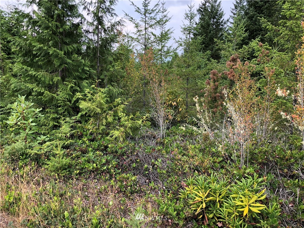 9-xxx Coyle Road Quilcene, WA 98376 - Photo 9 of 10