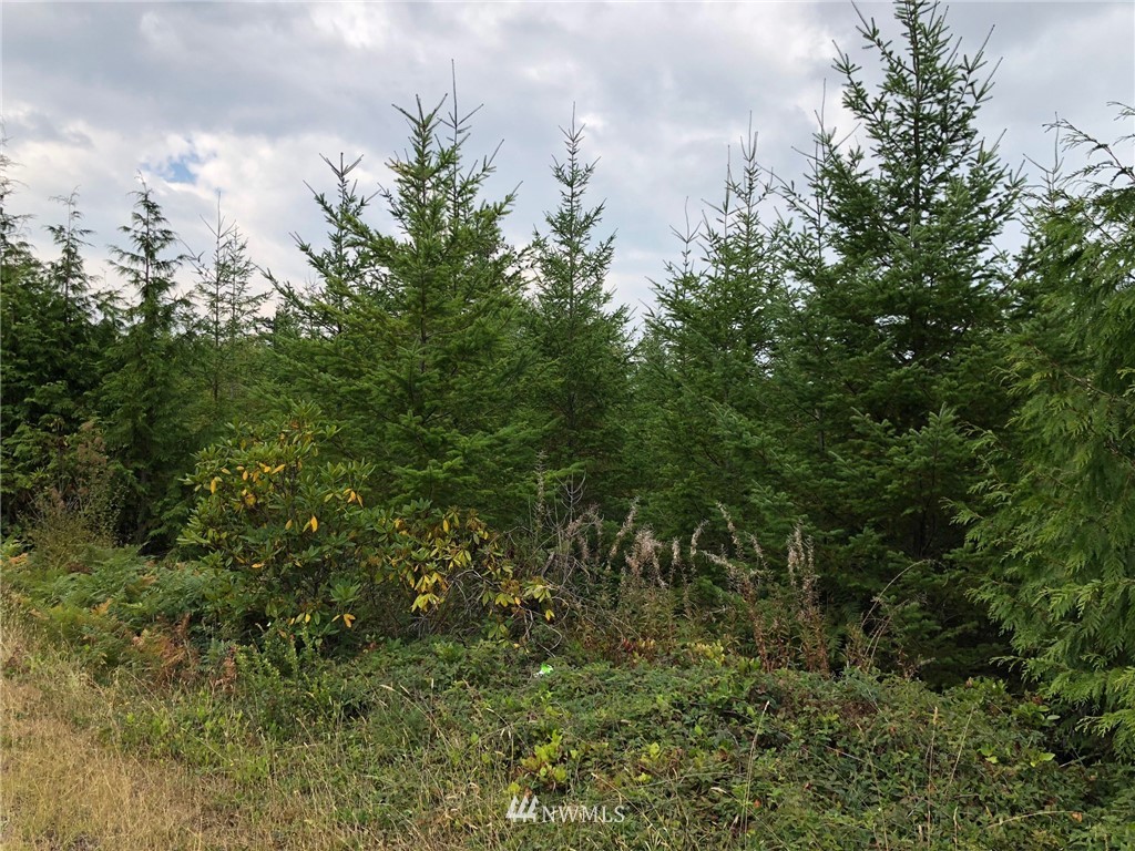9-xxx Coyle Road Quilcene, WA 98376 - Photo 10 of 10