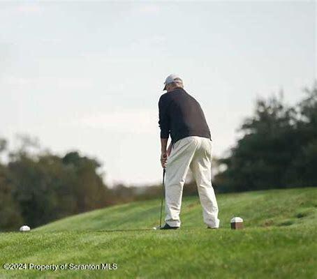 201 Resort Lane Tunkhannock, PA 18657 - Photo 25 of 32 a backyard of a house with lots of green space