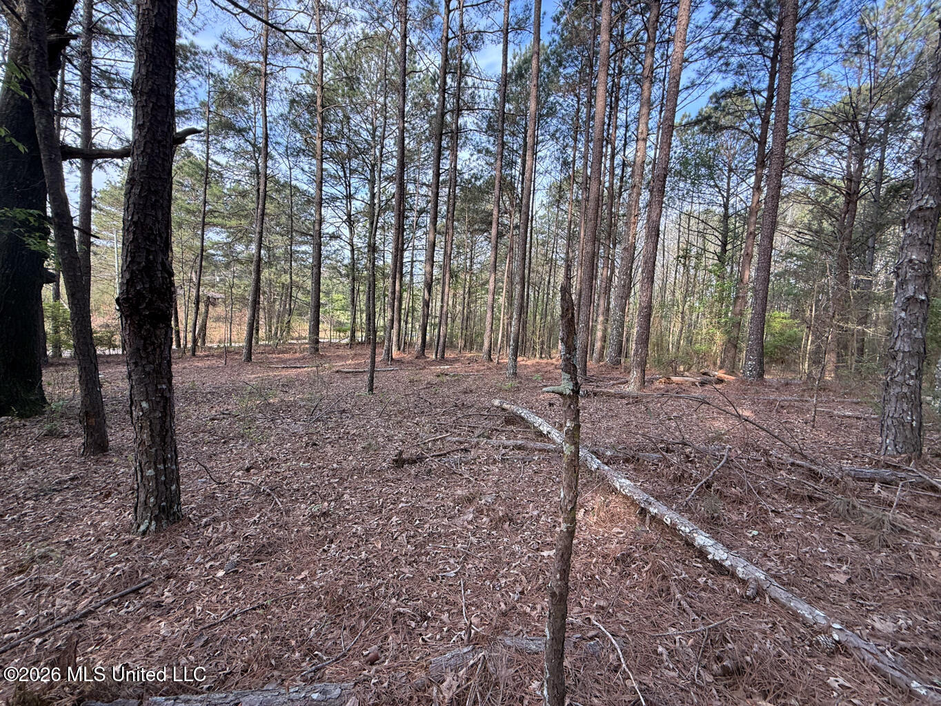 2893 Truesdale Road Carthage, MS 39051 - Photo 2 of 23 Leake 33-2