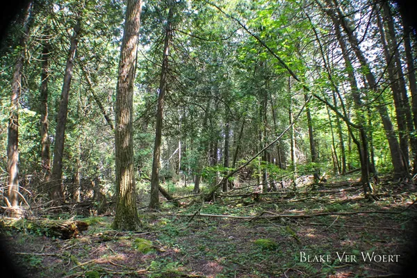 $179,000 | Mackinac Trail Street, St. Ignace, MI 49781