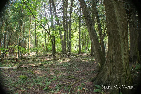 $179,000 | Mackinac Trail Street, St. Ignace, MI 49781