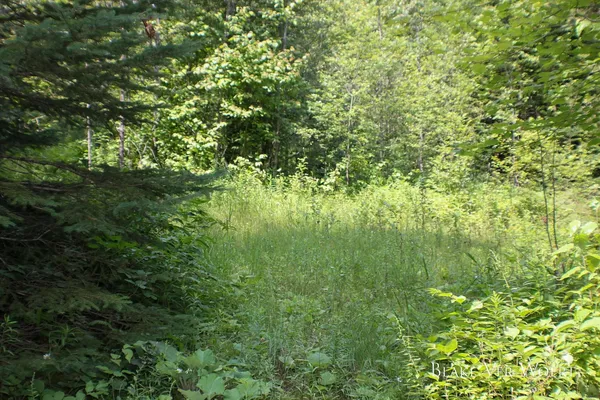 $179,000 | Mackinac Trail Street, St. Ignace, MI 49781